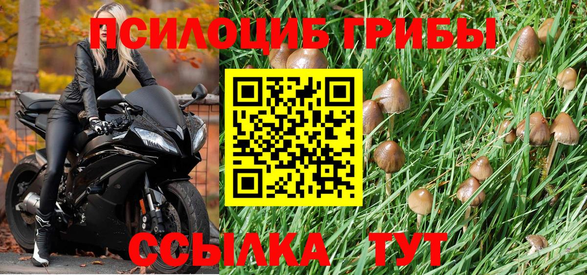 где купить   Галлюциногенные грибы Psilocybine cubensis  Вход с VPN  Майский 